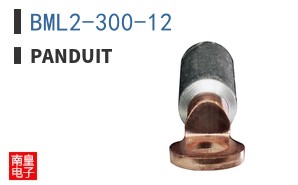 BML2-300-12