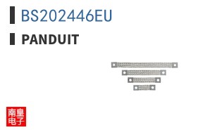 BS202446EU