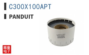 C300X100APT