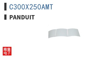 C300X250AMT