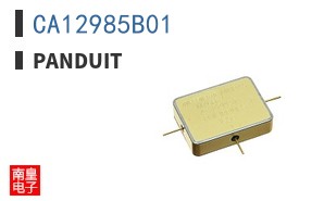 CA12985B01