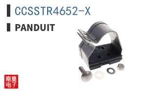 CCSSTR4652-X