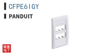 CFPE6IGY