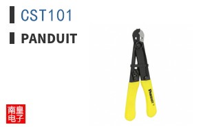 CST101