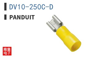 DV10-250C-D