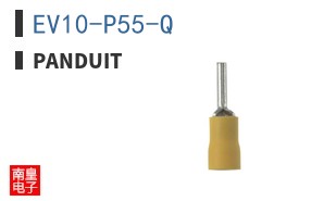 EV10-P55-Q