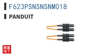 F623PSNSNSNM018