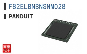 F82ELBNBNSNM028