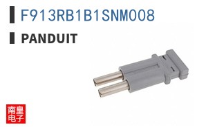 F913RB1B1SNM008