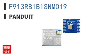 F913RB1B1SNM019