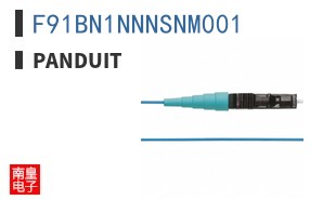 F91BN1NNNSNM001