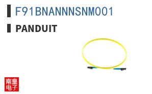 F91BNANNNSNM001