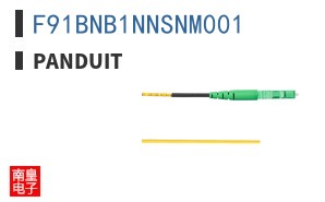 F91BNB1NNSNM001