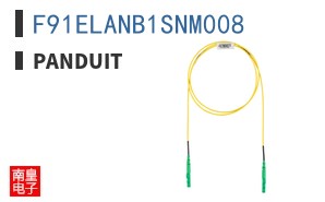 F91ELANB1SNM008