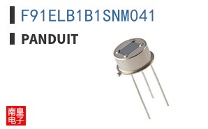F91ELB1B1SNM041