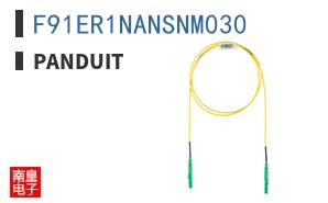 F91ER1NANSNM030