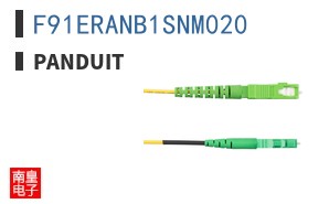 F91ERANB1SNM020