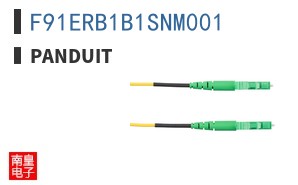 F91ERB1B1SNM001