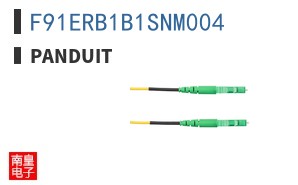 F91ERB1B1SNM004