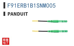F91ERB1B1SNM005
