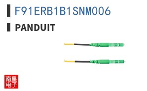F91ERB1B1SNM006