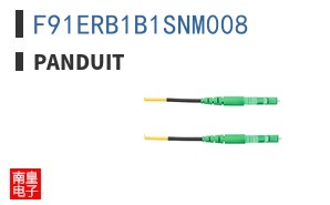 F91ERB1B1SNM008