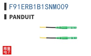 F91ERB1B1SNM009