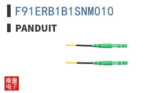 F91ERB1B1SNM010