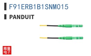 F91ERB1B1SNM015