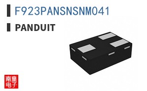 F923PANSNSNM041