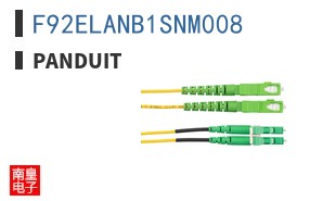 F92ELANB1SNM008