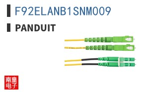F92ELANB1SNM009