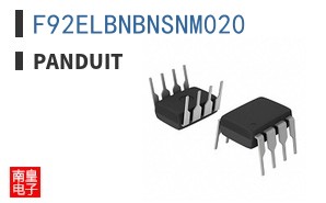 F92ELBNBNSNM020
