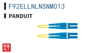 F92ELLNLNSNM013