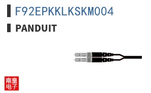 F92EPKKLKSKM004