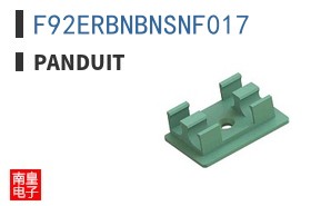 F92ERBNBNSNF017