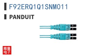 F92ERQ1Q1SNM011
