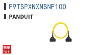 F9TSPXNXNSNF100