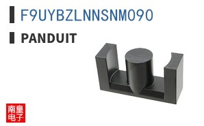 F9UYBZLNNSNM090