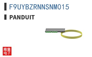 F9UYBZRNNSNM015