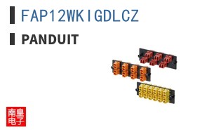 FAP12WKIGDLCZ