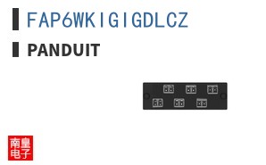 FAP6WKIGIGDLCZ