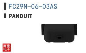 FC29N-06-03AS