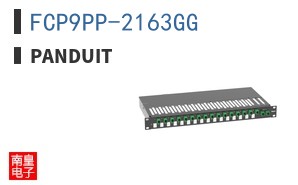 FCP9PP-2163GG