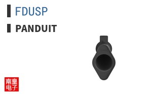 FDUSP