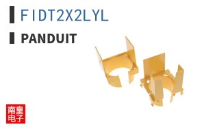 FIDT2X2LYL