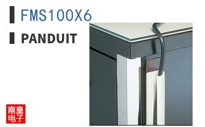 FMS100X6