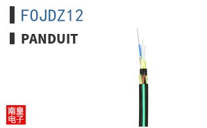FOJDZ12