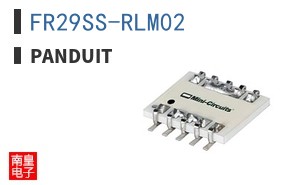 FR29SS-RLM02
