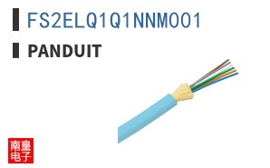 FS2ELQ1Q1NNM001